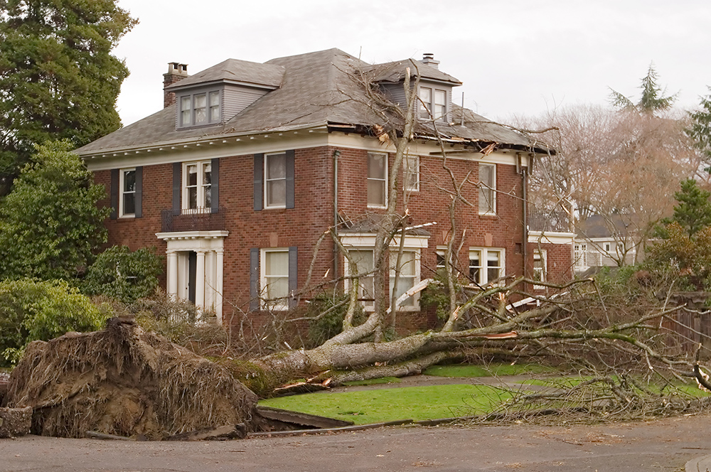 commerical and residential storm damage repair